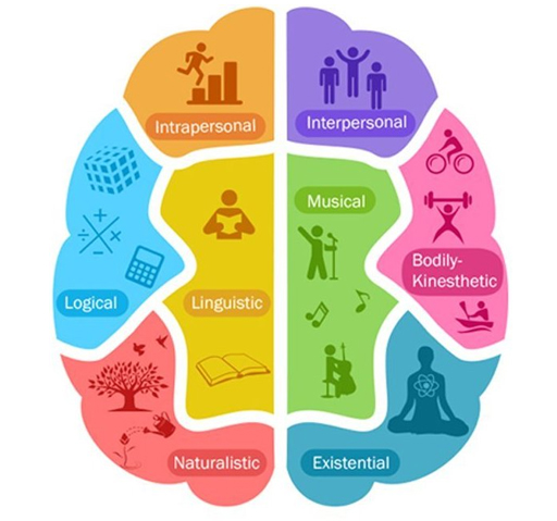 kids Brain Info-graphic- Amberlay Preschool